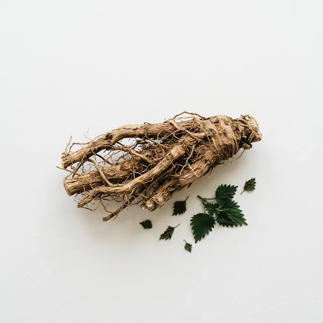 Ortiga — ingrediente habitual en suplementos para el bienestar masculino